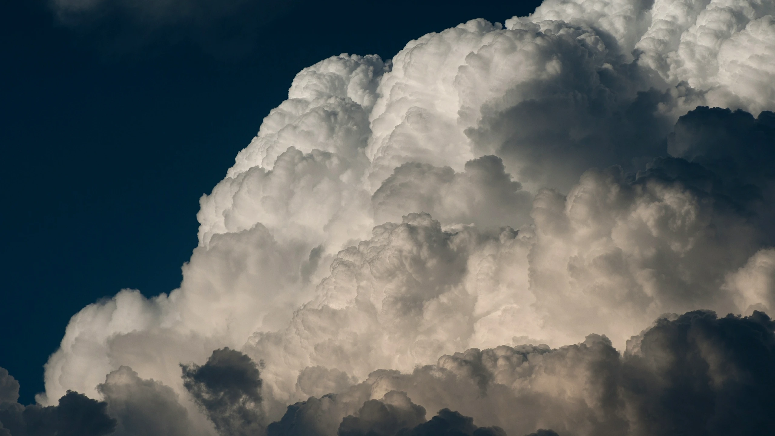 Current Weather Trends in Knoxville: October 2023