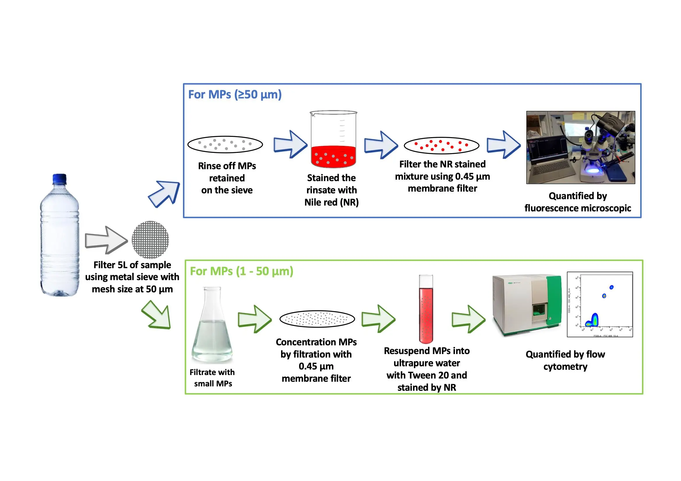 New Study Reveals Microplastic Contamination in Bottled Water