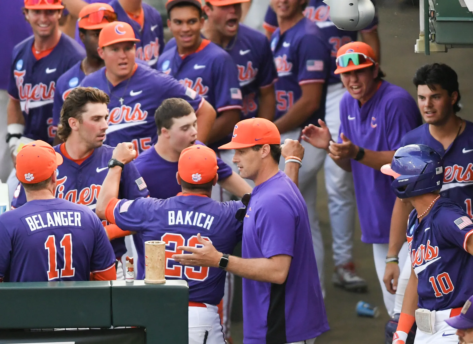 Clemson Baseball: A Season of Promise and Challenges