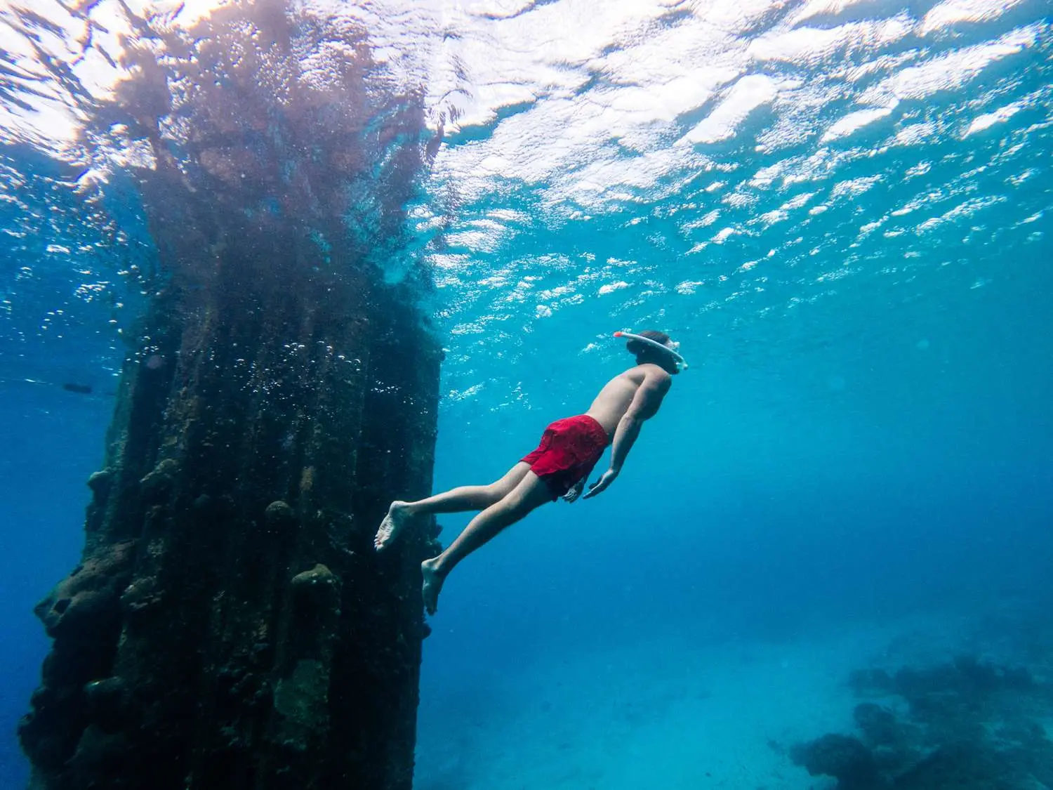Discover Curacao: A Unique Destination in the Caribbean