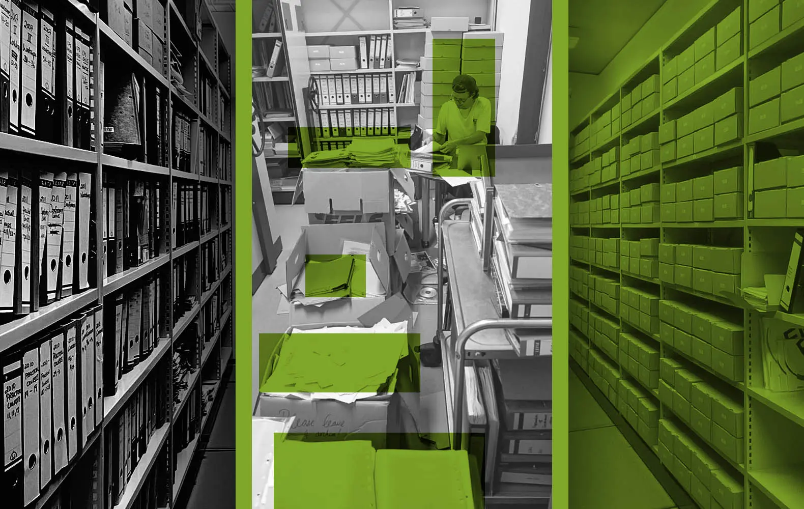 Exploring EMBO and Its Impact on Molecular Biology