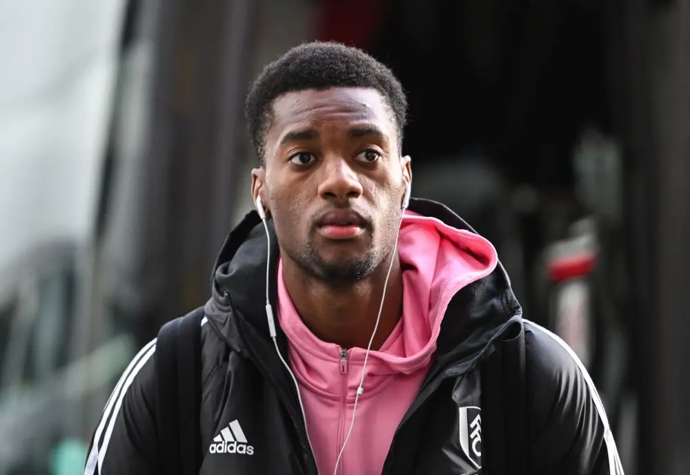 Fulham FC: An Overview of Current Events and Future Prospects