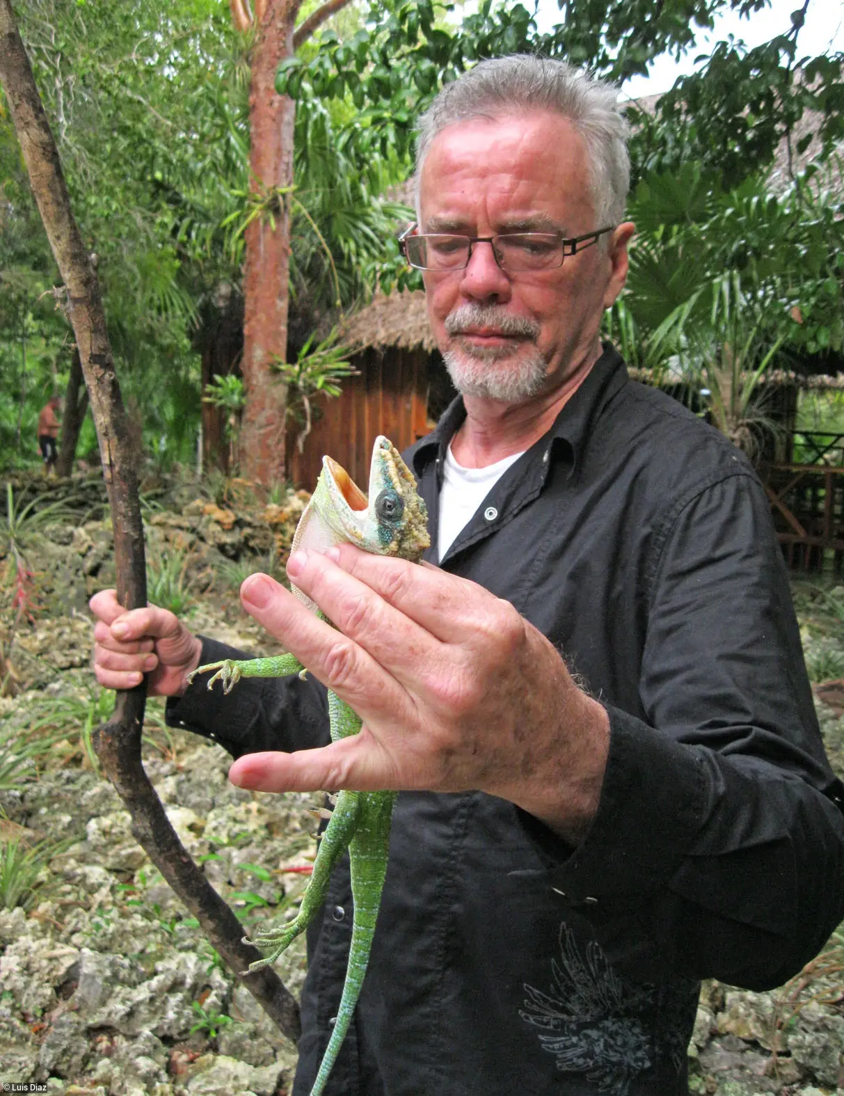 The Influence of Robert Trivers on Evolutionary Biology