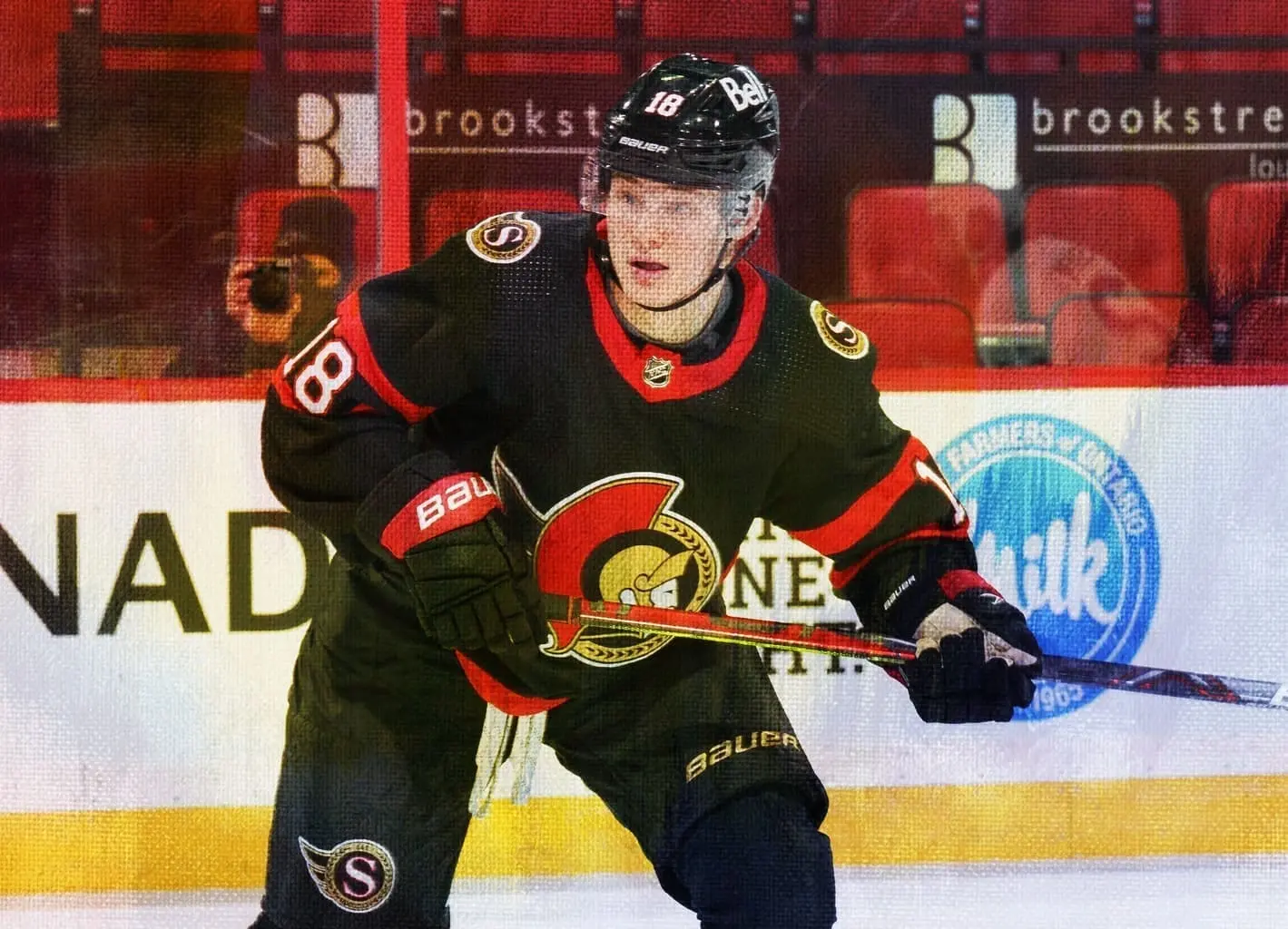 Tim Stutzle: The Promising Future of NHL