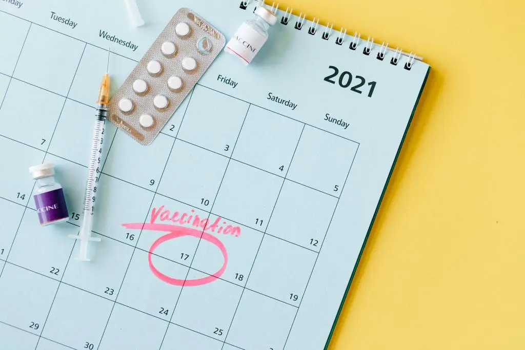 Essential Guide to Travel Vaccines for Safe Journeys