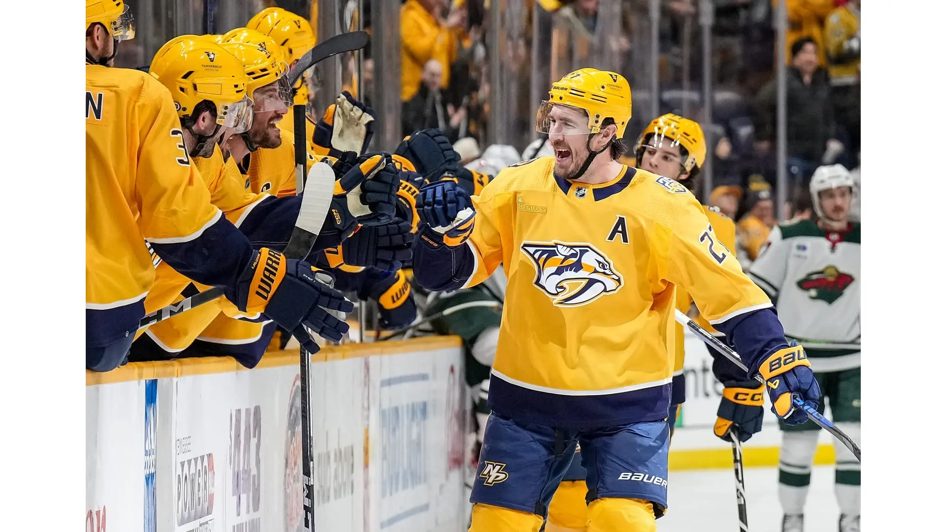 Wild vs Predators: The Balance of Nature