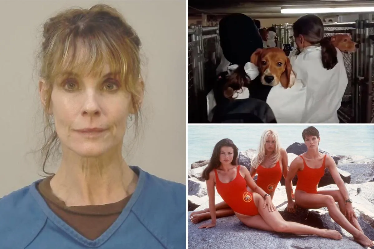 alexandra paul — US news