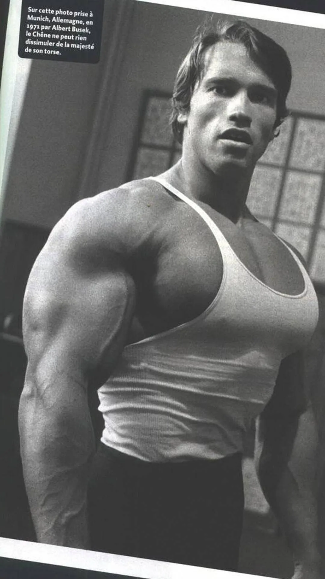arnold schwarzenegger — US news