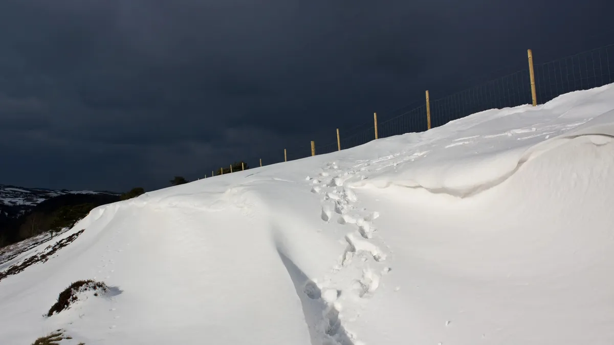 cincinnati weather — US news