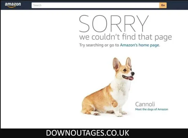 is amazon down — US news