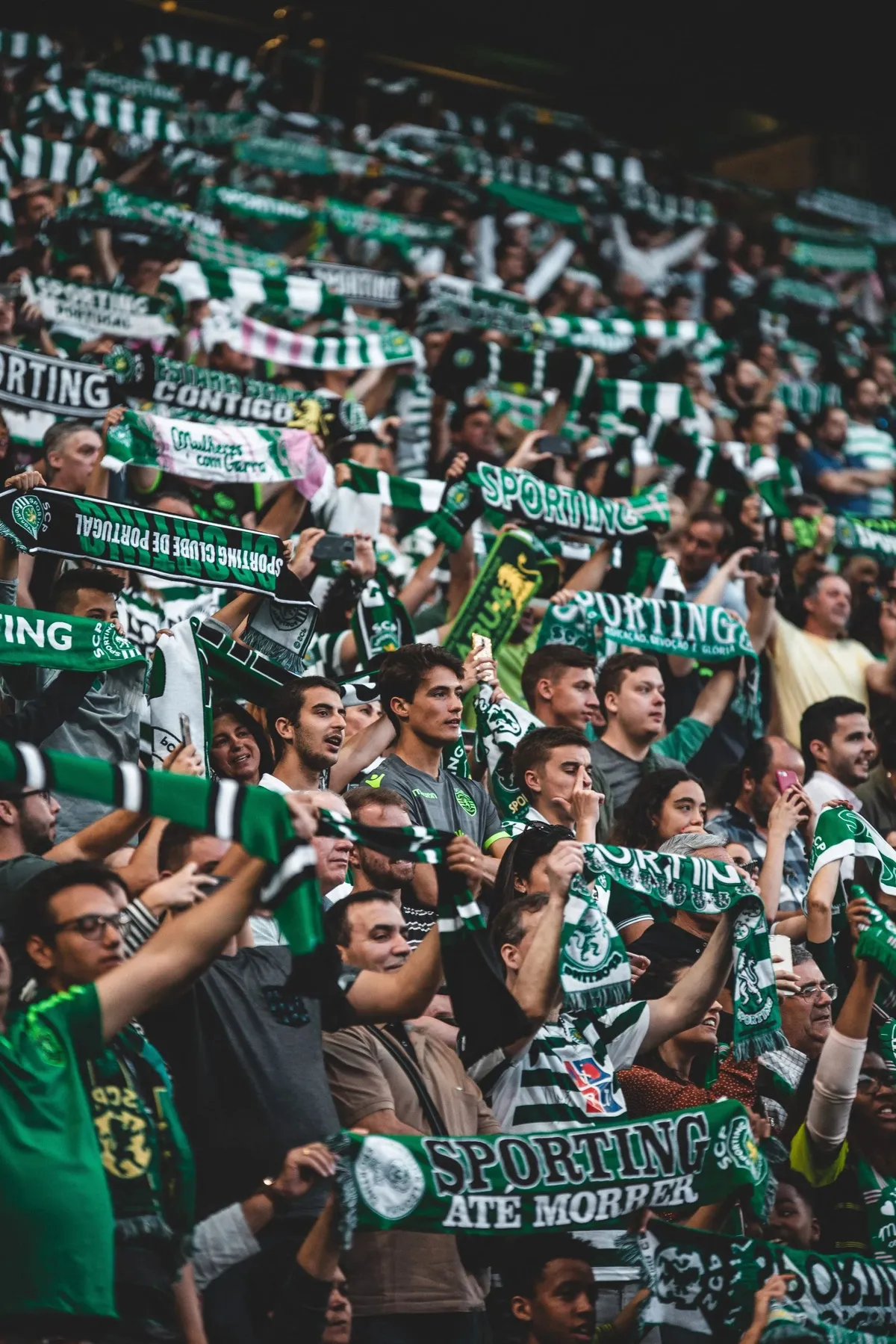sporting cp vs bodø/glimt — US news