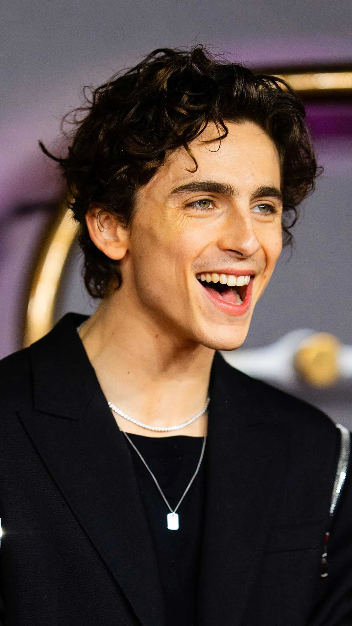 timothee chalamet — US news